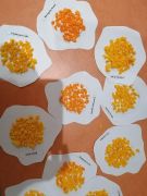 większy obrazek nr 1