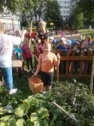 ilustracja do wpisu 
WYKOPKI w przedszkolnym ogródku