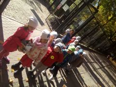 ilustracja do wpisu 
TYGRYSKI - w białostockim ZOO Akcent