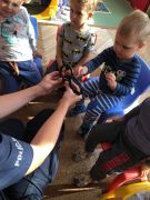większy obrazek nr 6