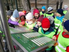 ilustracja do wpisu 
MĄDRE SÓWKI - wycieczka do ZOO Akcent