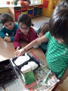 ilustracja do wpisu 
TYGRYSKI - zakładają zielony ogródek