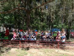 ilustracja do wpisu 
MĄDRE SÓWKI - wycieczka do Parku Linowego w Doktorcach