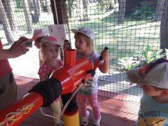 ilustracja do wpisu 
TYGRYSKI - wycieczka do Parku Linowego w Doktorcach