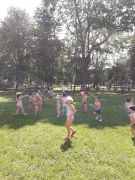 ilustracja do wpisu 
TYGRYSKI - radzą sobie z upałami