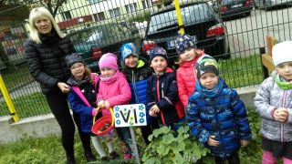 ilustracja do wpisu 
JESIENNE WYKOPKI