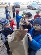 ilustracja do wpisu 
KRÓLICZKI - ratują kasztanowce