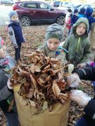 ilustracja do wpisu 
MĄDRE SÓWKI - ratują kasztanowce