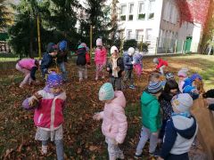 ilustracja do wpisu 
KŁAPOUSZKI - ratują kasztanowce