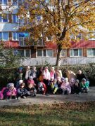większy obrazek nr 4