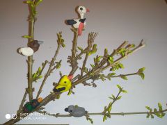 ilustracja do wpisu 
MĄDRE SÓWKI - ,, Pani Wiosna",, Bociek"