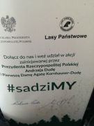 ilustracja do wpisu 
MĄDRE SÓWKI - wycieczka po sadzonki drzew