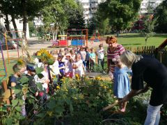 ilustracja do wpisu 
KŁAPOUSZKI, MĄDRE SÓWKI - wykopki