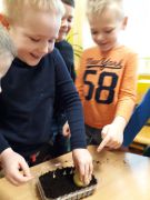 ilustracja do wpisu 
KŁAPOUSZKI - ogródek zielony w sali