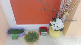 ilustracja do wpisu 
TYGRYSKI - ogródek w sali