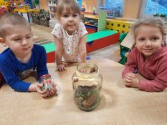 ilustracja do wpisu 
TYGRYSKI - zdobywają wiadomości o ślimakach