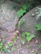 większy obrazek nr 5