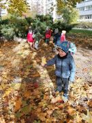 ilustracja do wpisu 
TYGRYSKI - jesienny spacer