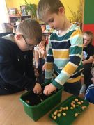 ilustracja do wpisu 
KŁAPOUSZKI - zielony ogródek w sali