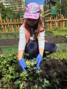 ilustracja do wpisu 
KŁAPOUSZKI - prace na przedszkolnej działce