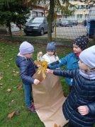 ilustracja do wpisu 
MĄDRE SÓWKI - udział w akcji,, Ratujmy kasztanowce"