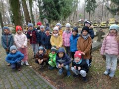większy obrazek nr 7