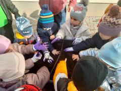 większy obrazek nr 7