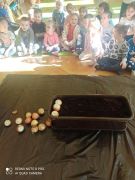 ilustracja do wpisu 
PUCHATKI - zakładają zielony ogródek