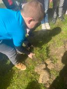 ilustracja do wpisu 
MĄDRE SÓWKI - Dzień Ziemi