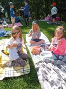 ilustracja do wpisu 
MĄDRE SÓWKI - piknik z okazji Dnia Dziecka