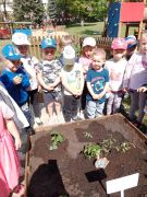 ilustracja do wpisu 
MALEŃSTWA - praca w ogródku