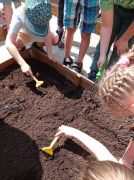 ilustracja do wpisu 
MĄDRE SÓWKI - prace w ogródku