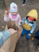 ilustracja do wpisu 
Akcja " Ratujmy Kasztanowce 2023"