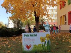 ilustracja do wpisu 
POLA NADZIEI - XIV edycja kampanii społecznej - „Pomoc ma MOC”