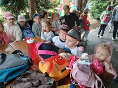 większy obrazek nr 1