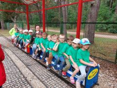 większy obrazek nr 8