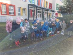 Dzieci w przedszkolnym ogródku szukają kwiatów