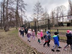 Dzieci obserwują zwierzęta