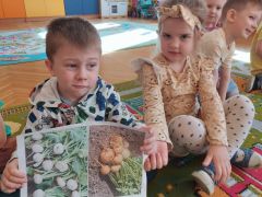 Chłopiec prezentuje zdjęcie przedstawiające rzepę