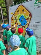 Dzieci oglądają plan ZOO