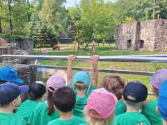 Dzieci oglądają wybieg niedźwiedzi brunatnych