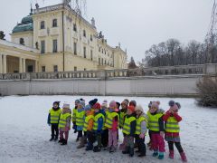 Puchatki w drodze do Muzeum Medycyny i Farmacji