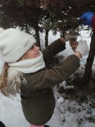 Dziewczynka zawiesza jedzenie dla ptaków.