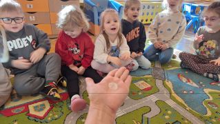 większy obrazek nr 2