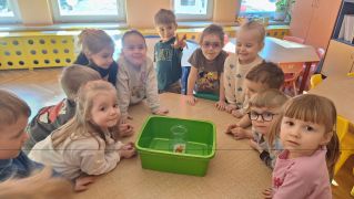 większy obrazek nr 4