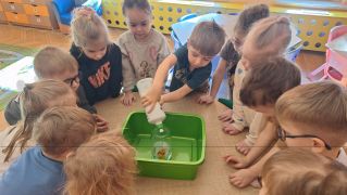 większy obrazek nr 6