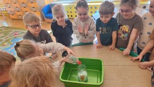 większy obrazek nr 7