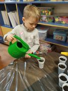 większy obrazek nr 1